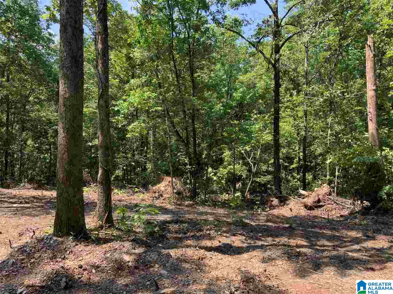 0 County Road 199, Unit 19 / ACRES Clanton, AL 35046 - Photo 3 of 17