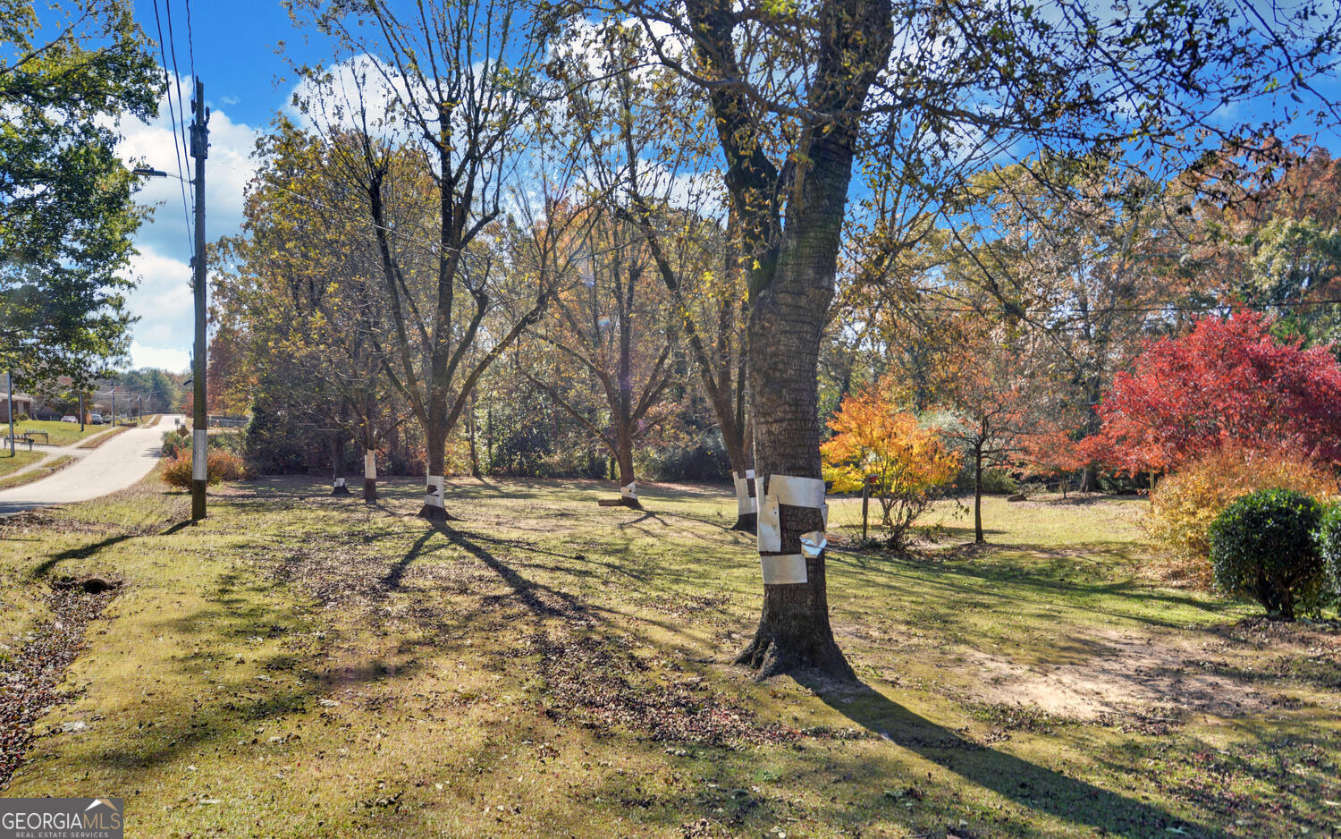 586 Collins Road Toccoa, GA 30577 - Photo 39 of 52 a view of yard with trees