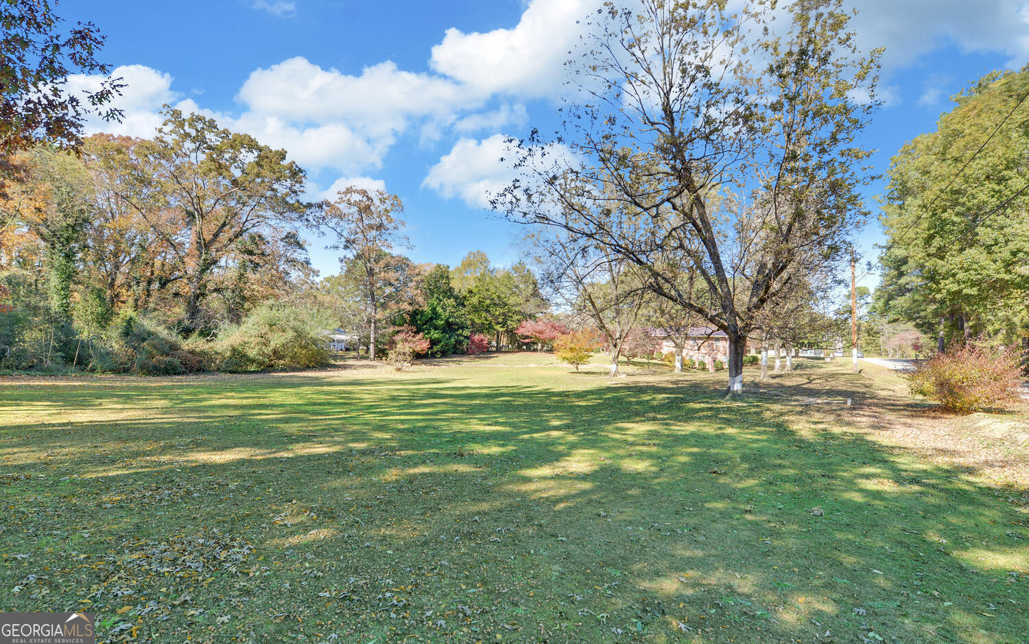 586 Collins Road Toccoa, GA 30577 - Photo 40 of 52 a yard with lots of trees