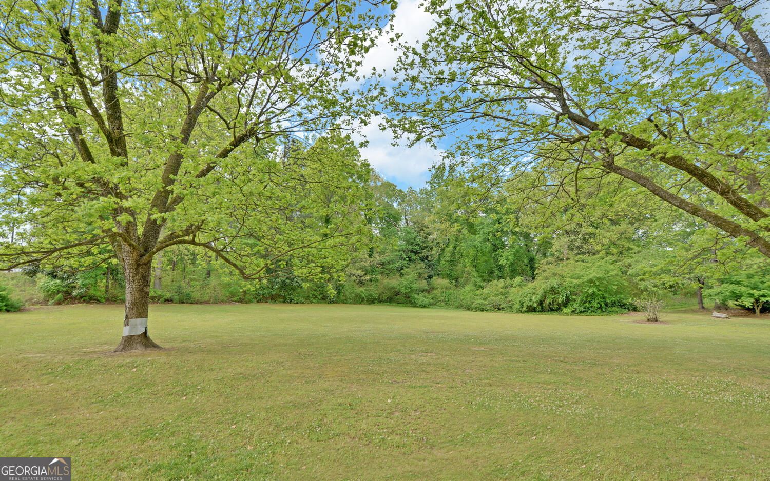586 Collins Road Toccoa, GA 30577 - Photo 44 of 52 a view of a field with a tree