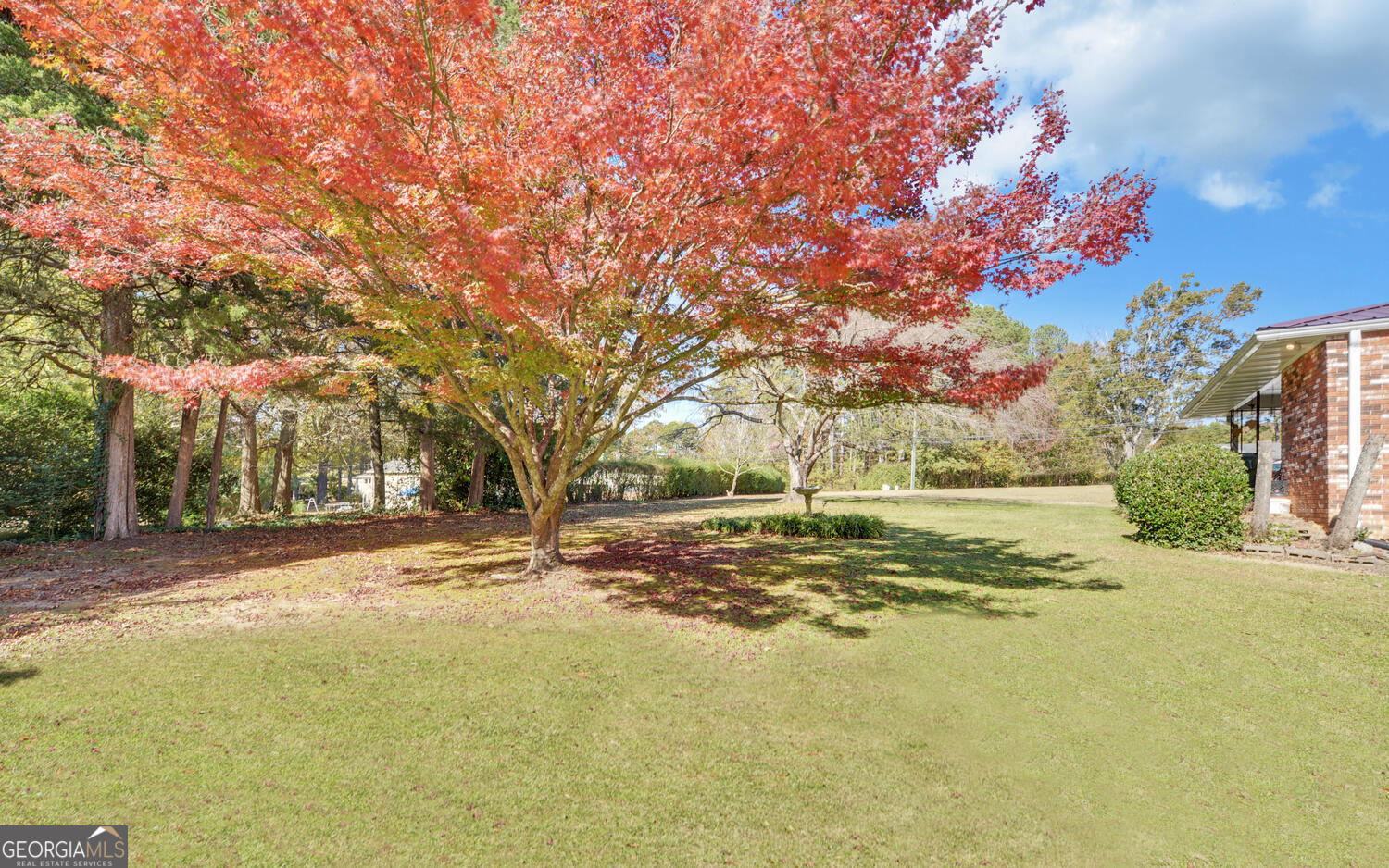 586 Collins Road Toccoa, GA 30577 - Photo 46 of 52 a view of a yard with a tree
