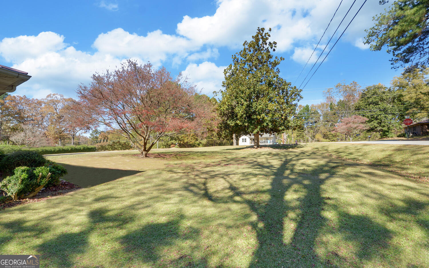 586 Collins Road Toccoa, GA 30577 - Photo 47 of 52 a view of yard with green space