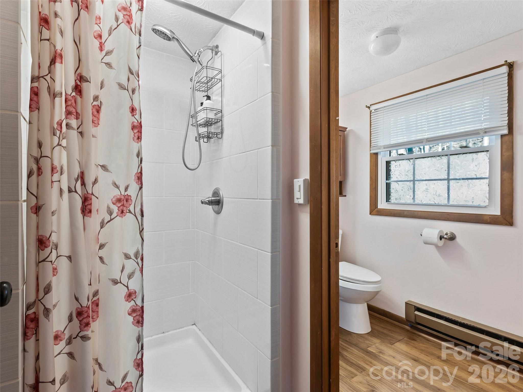 201 Liberty Road Waynesville, NC 28785 - Photo 12 of 20