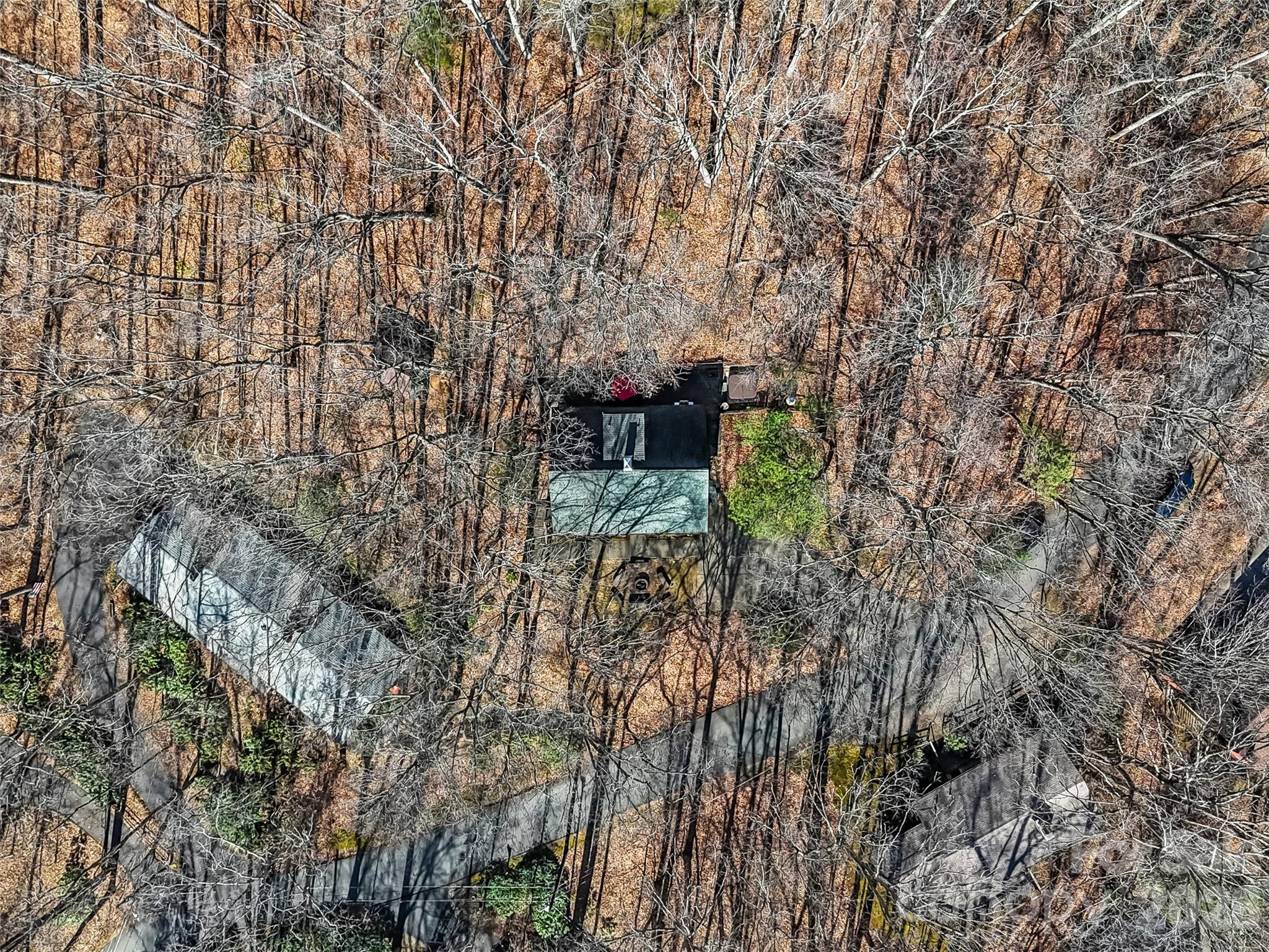 201 Liberty Road Waynesville, NC 28785 - Photo 20 of 20