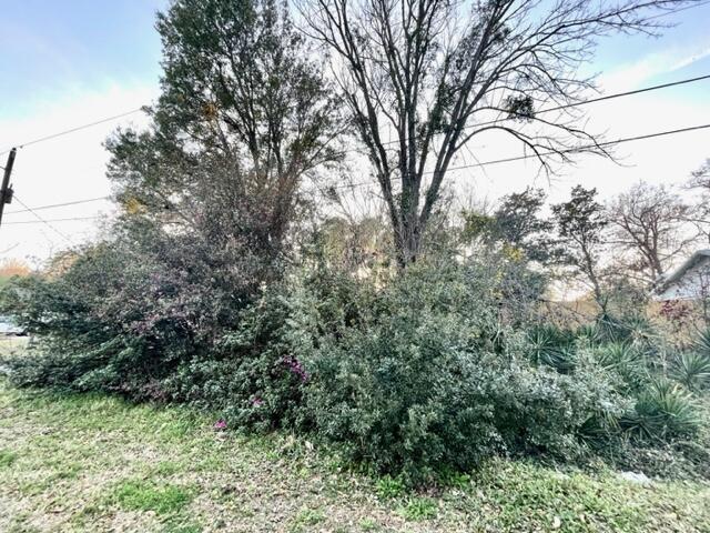 601 Semaht Street Charleston, SC 29412 - Photo 6 of 10 054ACF81-BD05-460D-A0D4-E64D1AA2F9FE