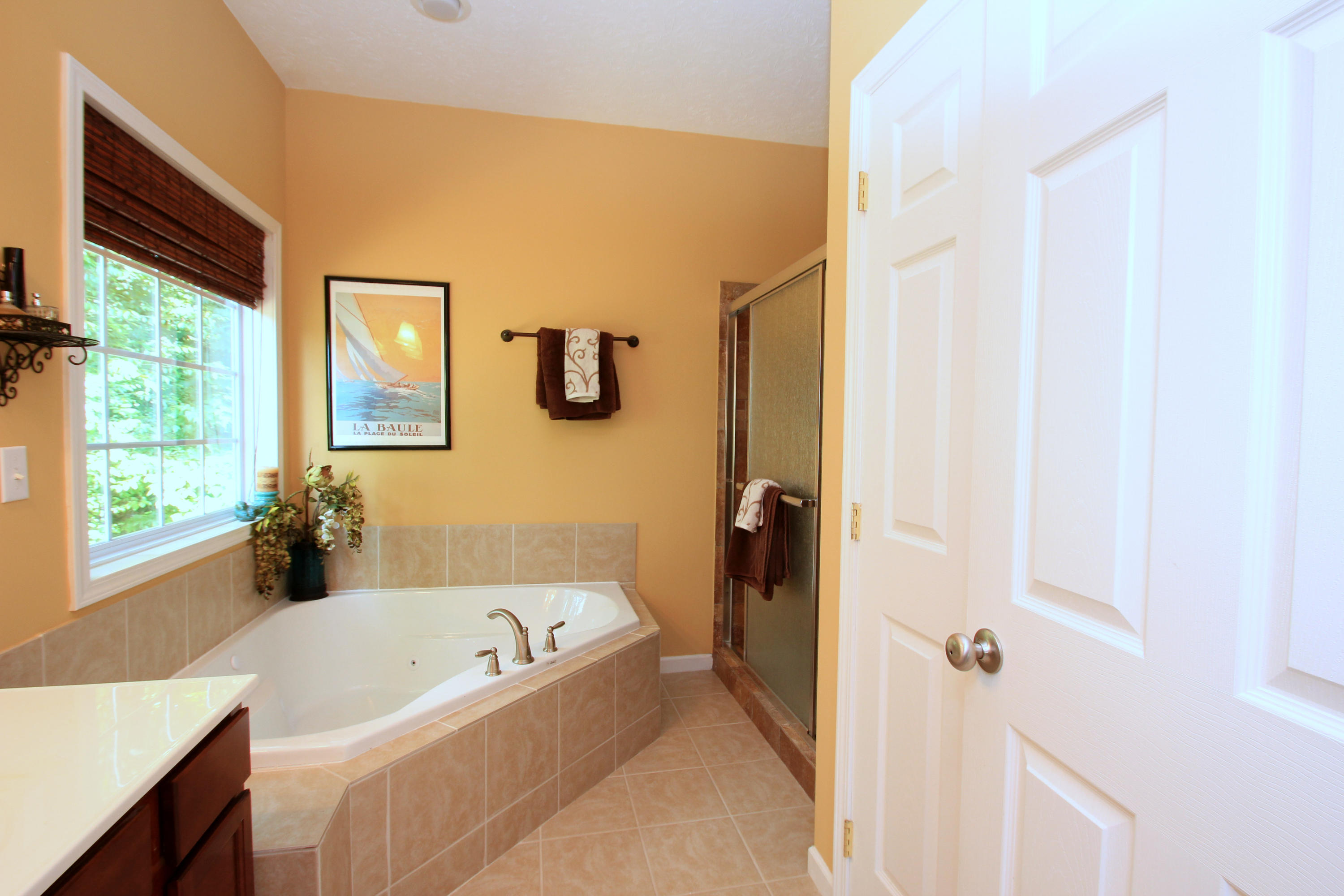 849 Sentry Ridge View Drive Seymour, TN 37865 - Photo 16 of 33 Master Bathroom