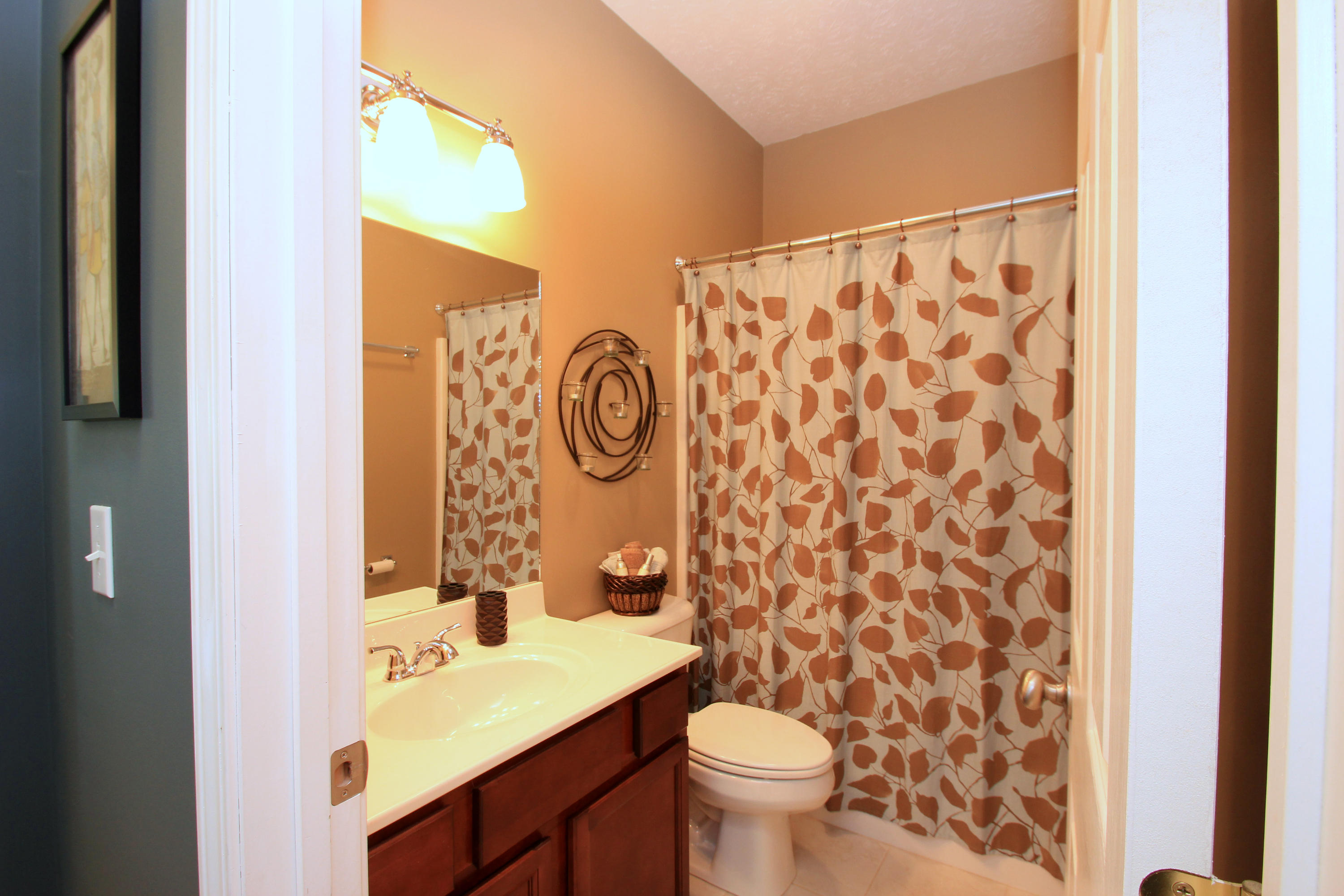 849 Sentry Ridge View Drive Seymour, TN 37865 - Photo 22 of 33 Guest Bathroom
