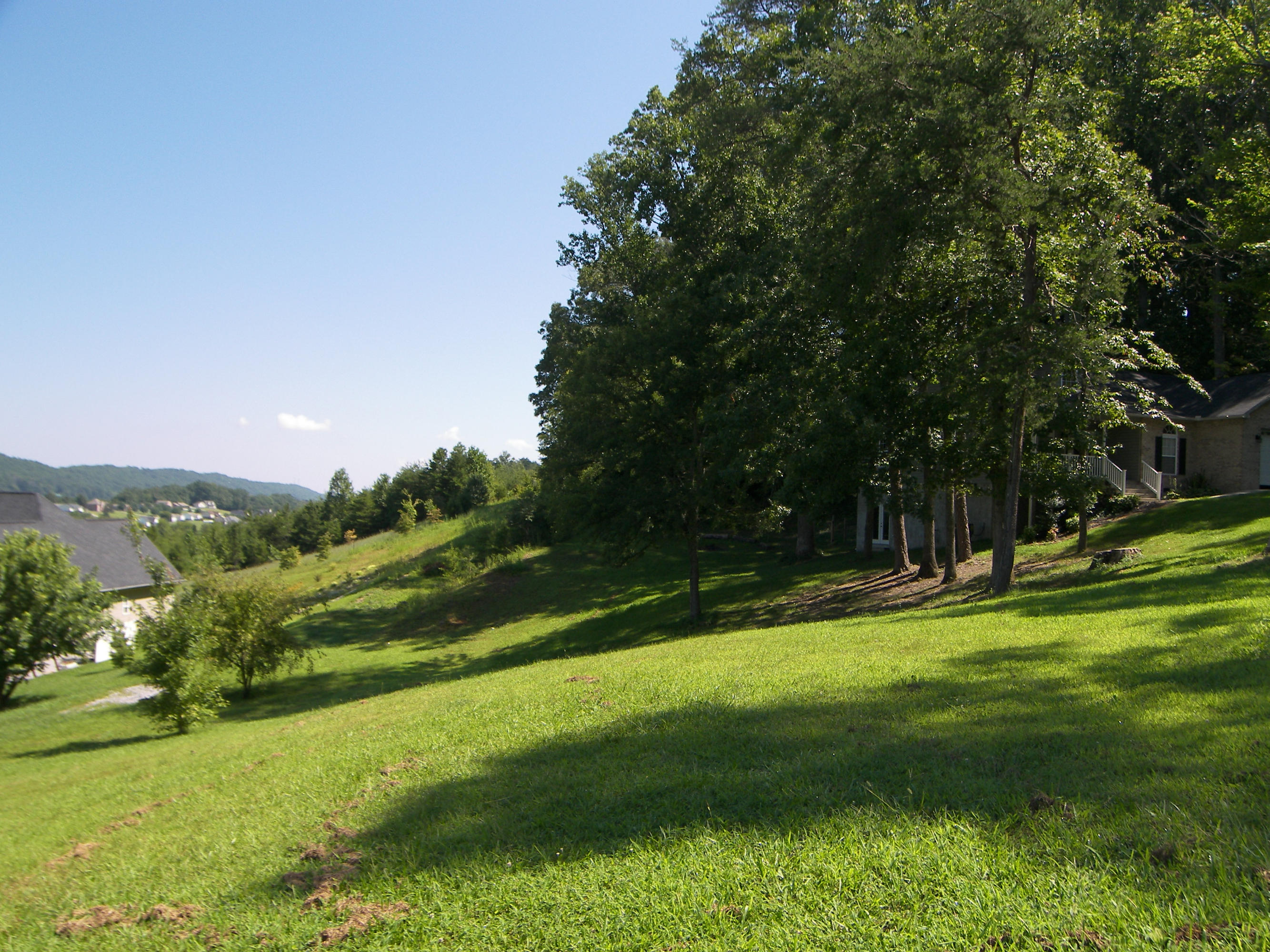 849 Sentry Ridge View Drive Seymour, TN 37865 - Photo 33 of 33 Left Side of Property - Roll