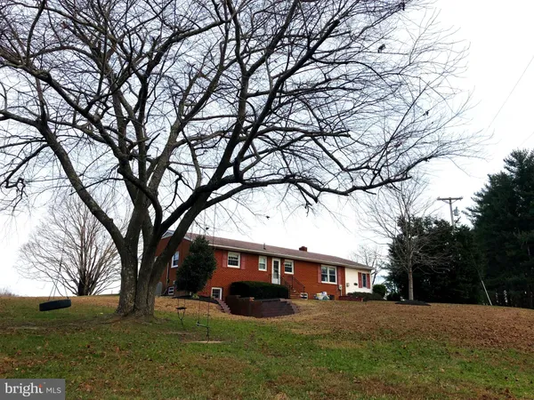 a view of a yard with large trees