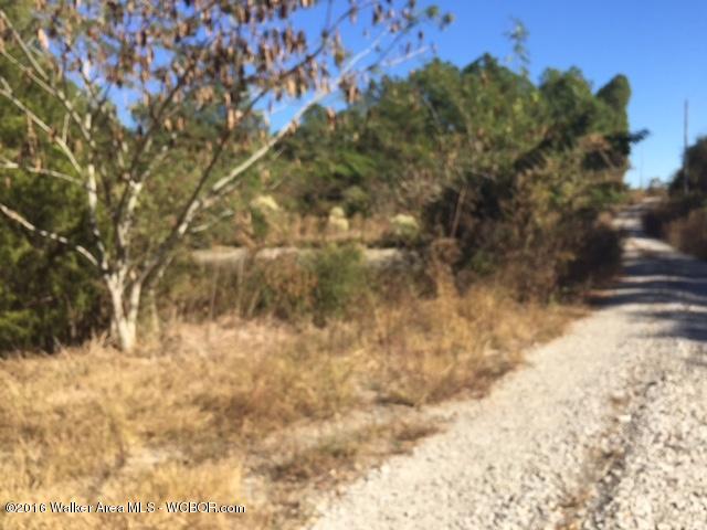 Coyote Road Jasper, AL 35501 - Photo 2 of 2 Gallery Image 2