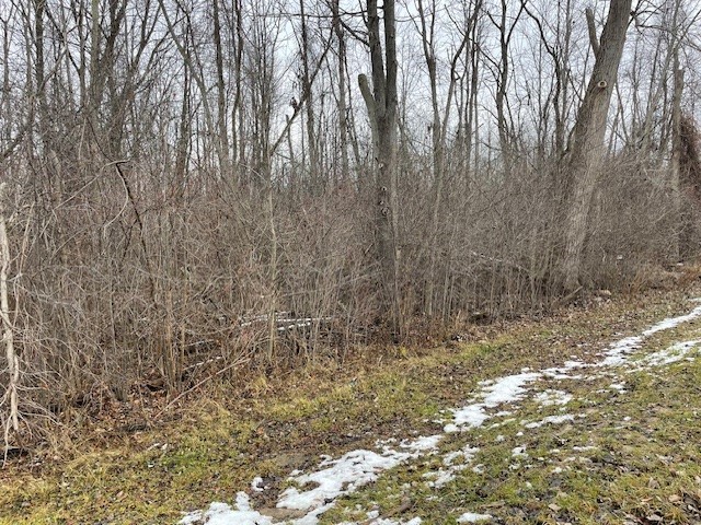 Undisclosed Address Bergen, NY 14416 - Photo 3 of 4