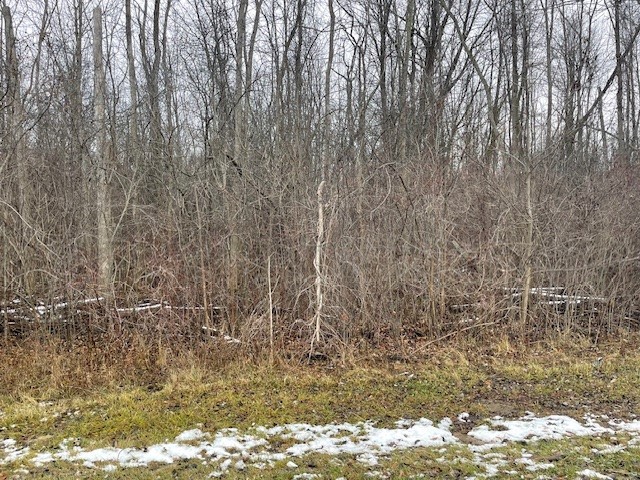 Undisclosed Address Bergen, NY 14416 - Photo 4 of 4