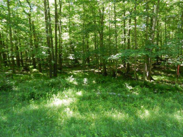 Lot 2 Cedar Falls Road Hazelhurst, WI 54531 - Photo 3 of 3 Gallery Image 3