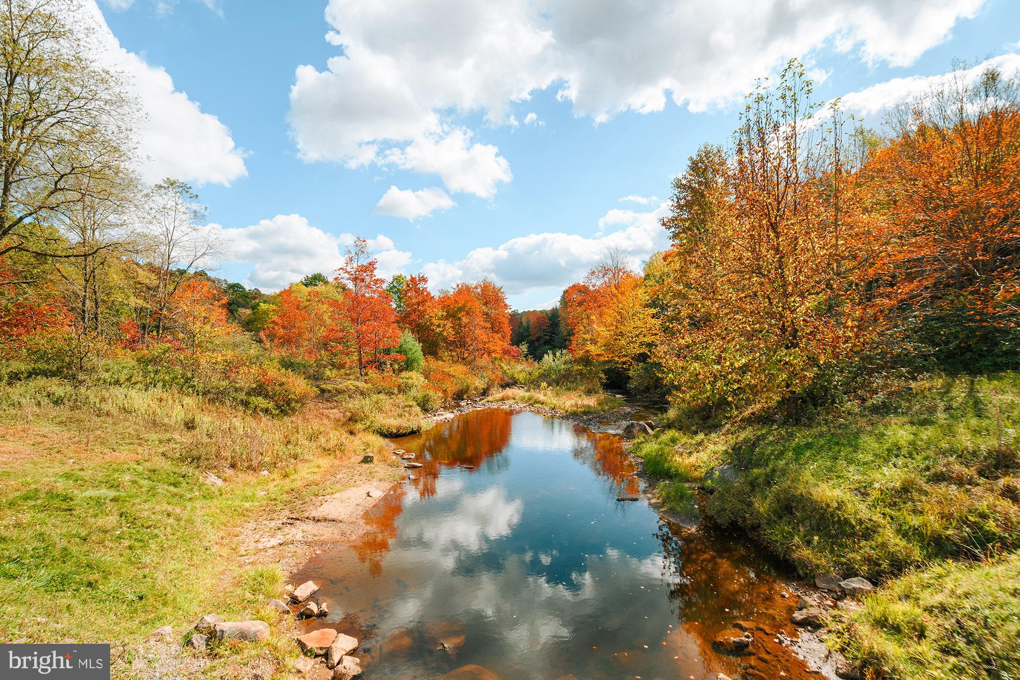 233 Rhododendron Drive Oakland, MD 21550 - Photo 7 of 17