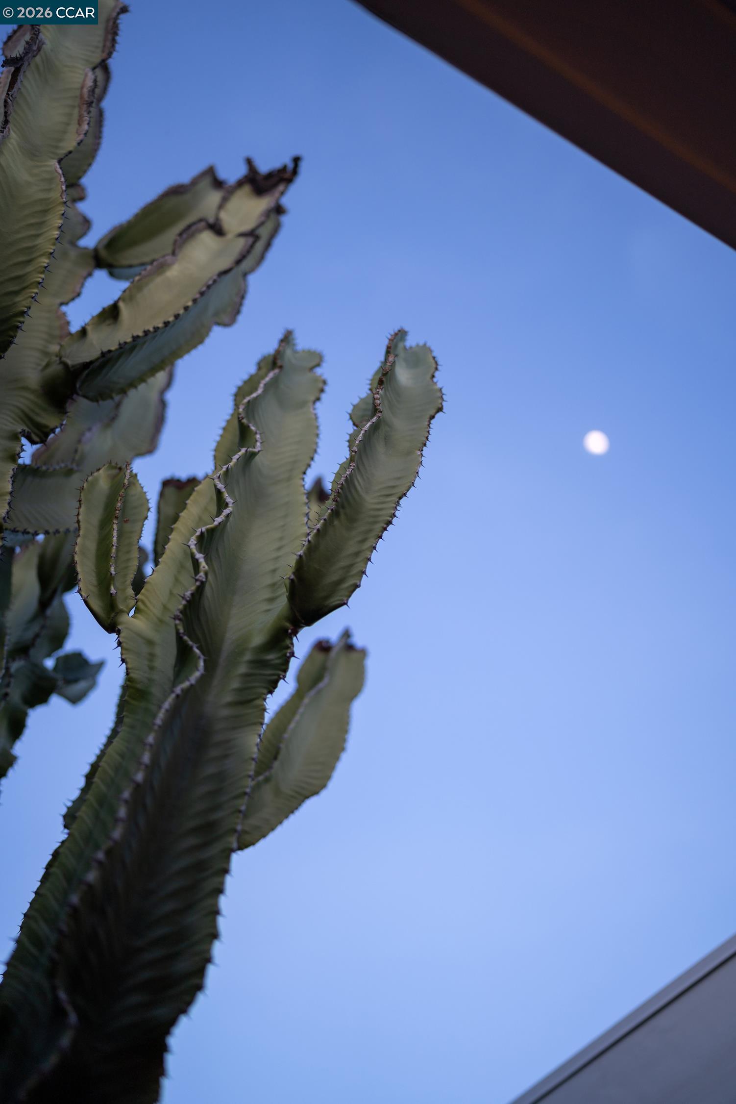 4095 Phoenix Street Concord, CA 94521 - Photo 55 of 58