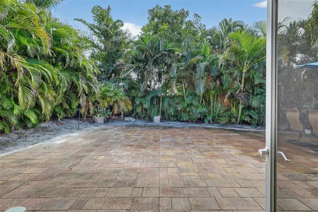 a view of a yard with plants and large trees