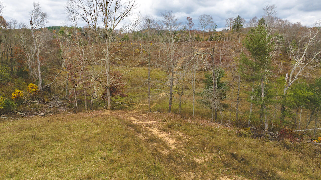 0 Sam Reed Road Northwest Floyd, VA 24091 - Photo 13 of 23 a view of a backyard of the house