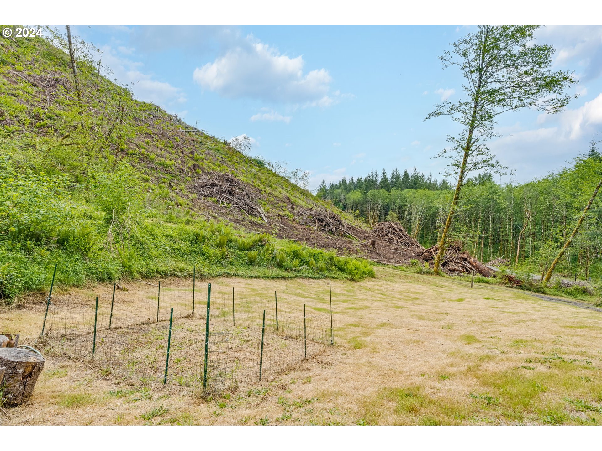 607 Yale Bridge Road Ariel, WA 98603 - Photo 30 of 41 Gallery Image 30
