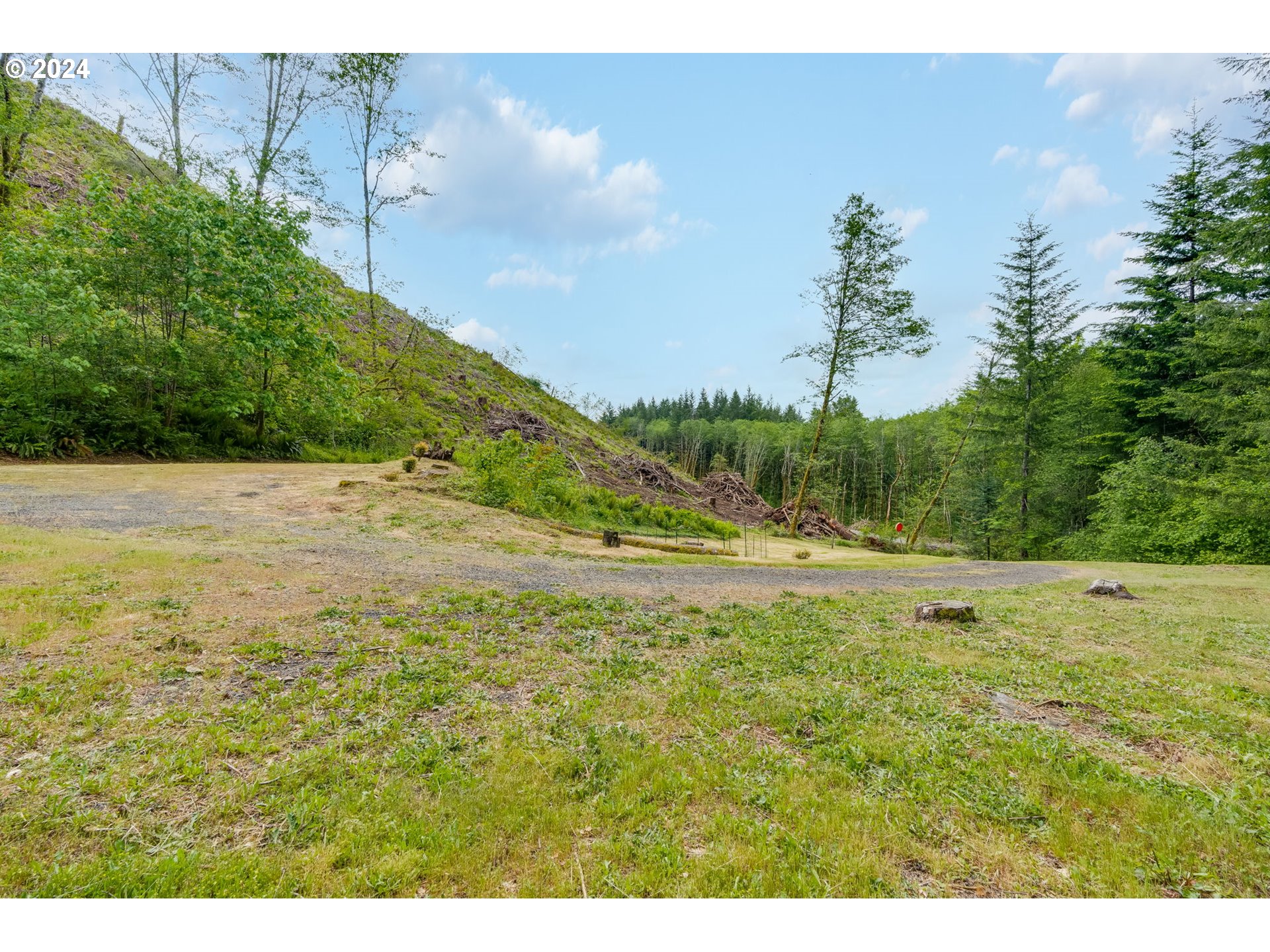 607 Yale Bridge Road Ariel, WA 98603 - Photo 37 of 41 Gallery Image 37