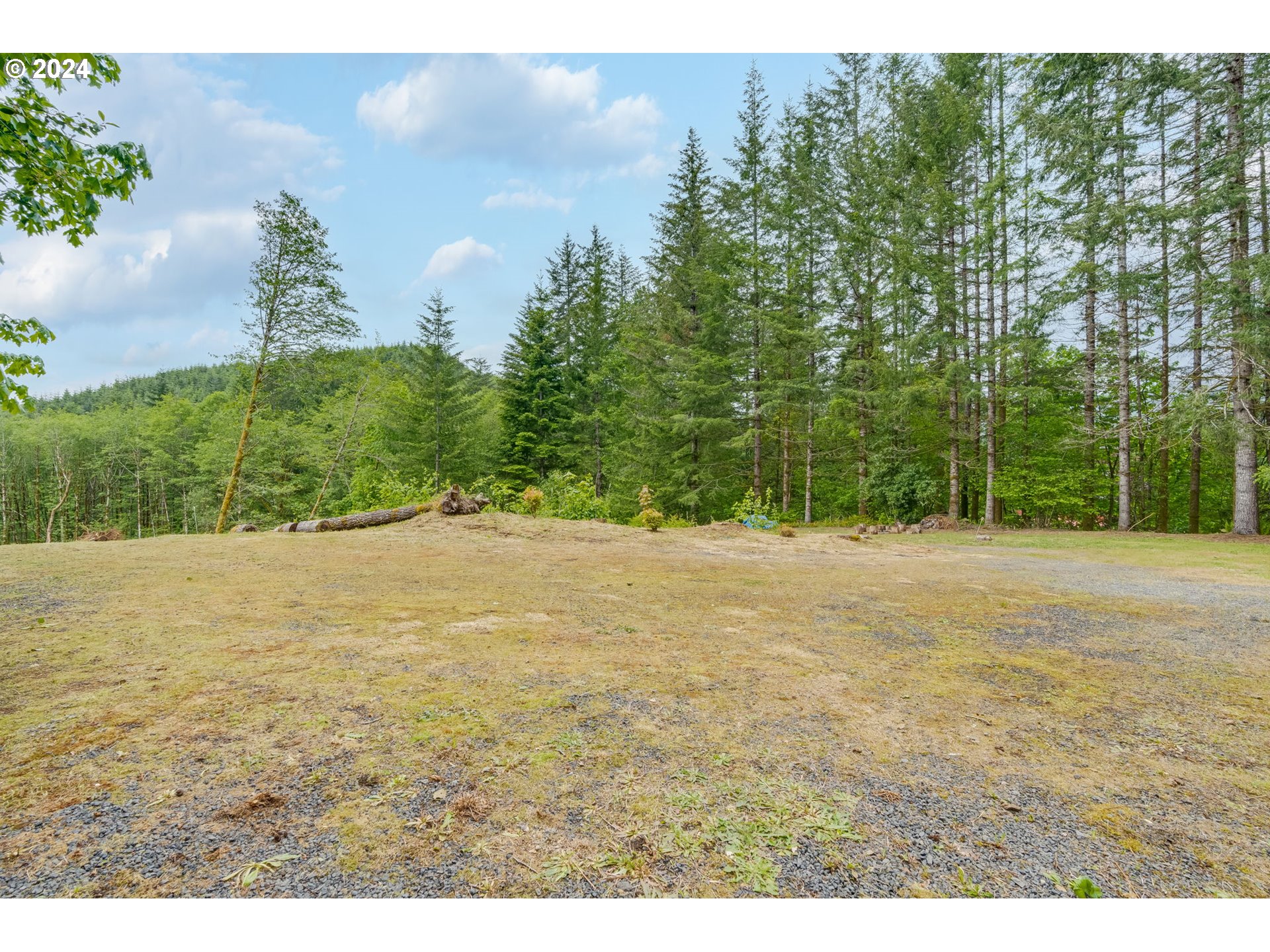607 Yale Bridge Road Ariel, WA 98603 - Photo 38 of 41 Gallery Image 38