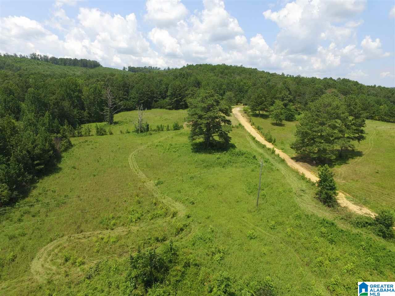 1703 Slasham Road Ashville, AL 35953 - Photo 6 of 26