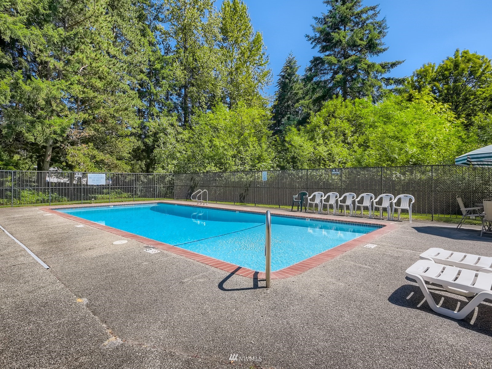 11521 Southeast 175th Street Renton, WA 98058 - Photo 19 of 20 a view of a pool with a yard