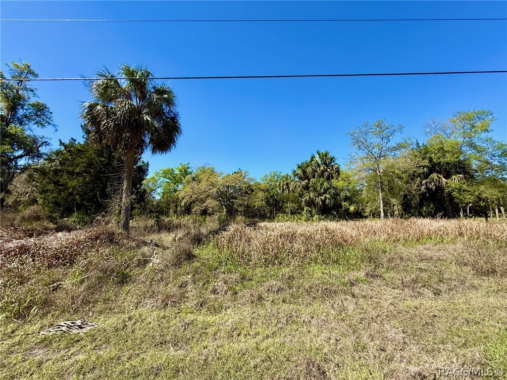 11120 North River Walk Point Inglis, FL 34449 - Photo 6 of 11 a view of a yard