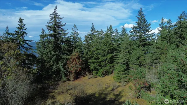 $850,000 | 20 State Rte 20, Anacortes, WA 98221