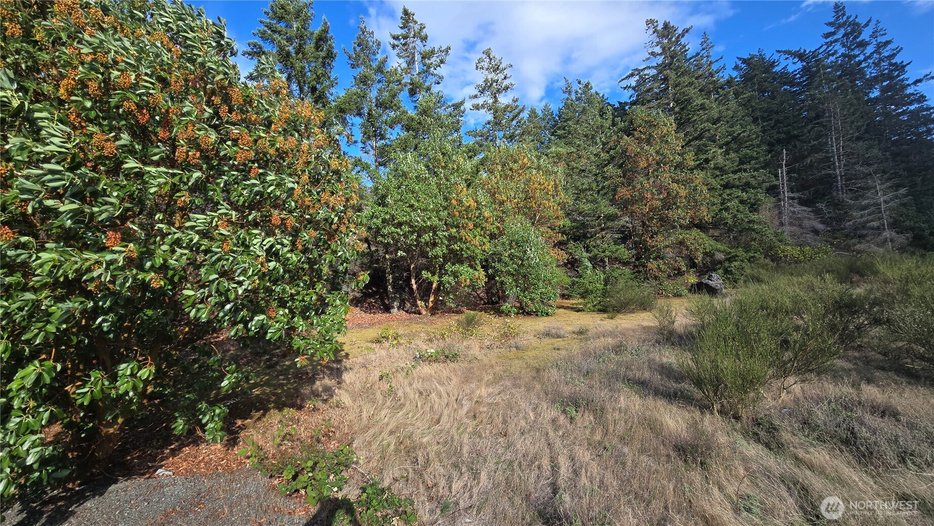 20 State Rte 20 Anacortes, WA 98221 - Photo 16 of 27