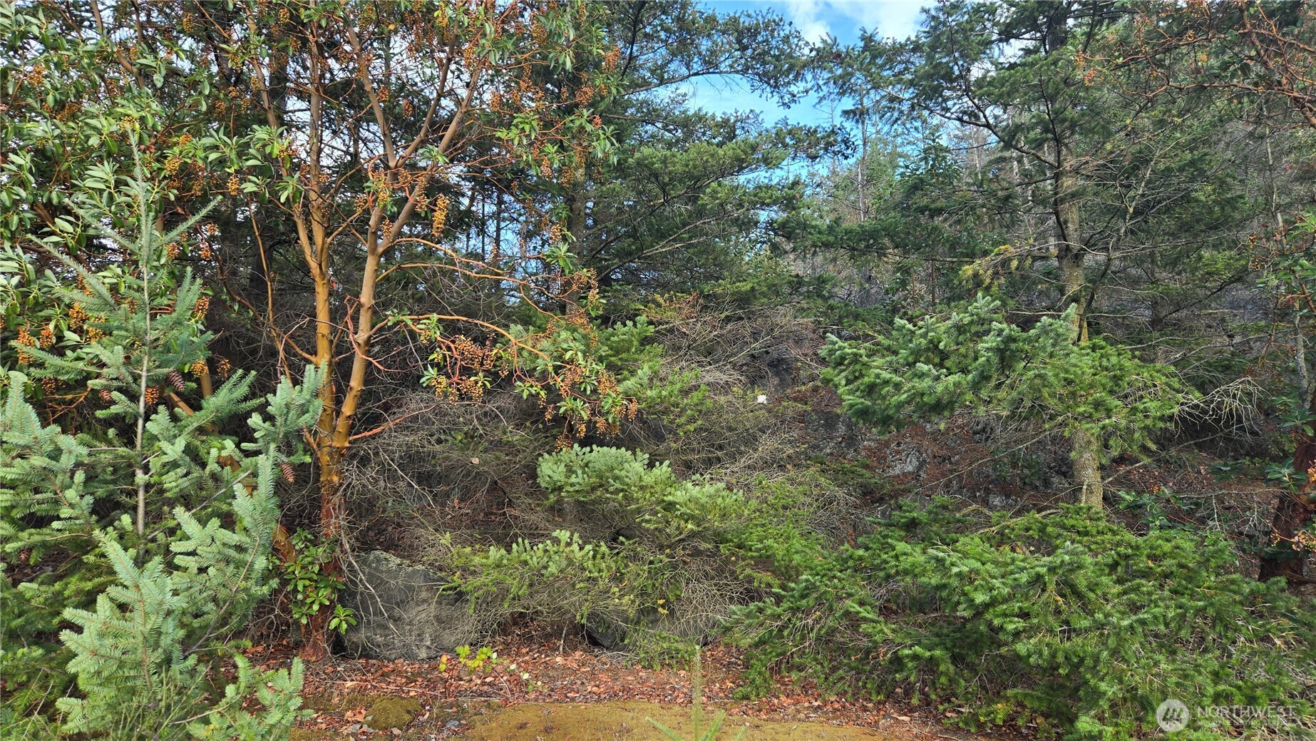 20 State Rte 20 Anacortes, WA 98221 - Photo 18 of 27