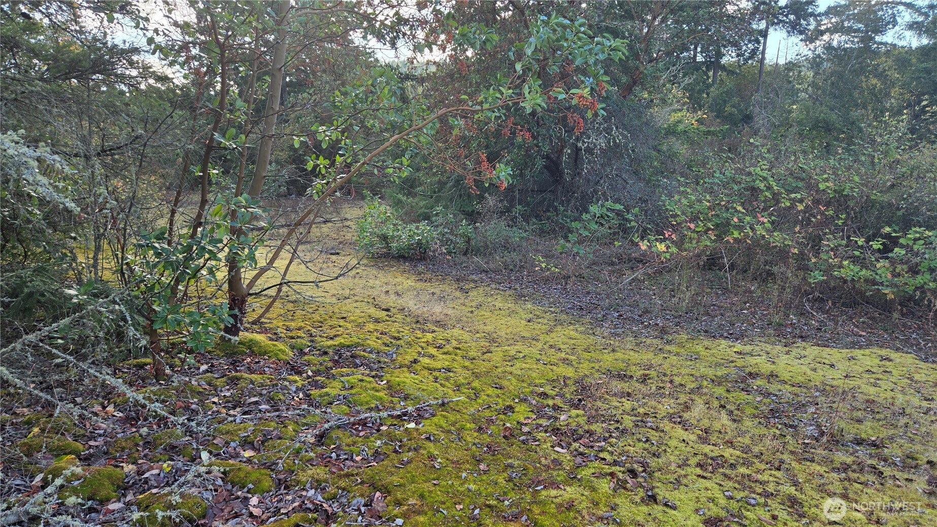 20 State Rte 20 Anacortes, WA 98221 - Photo 21 of 27