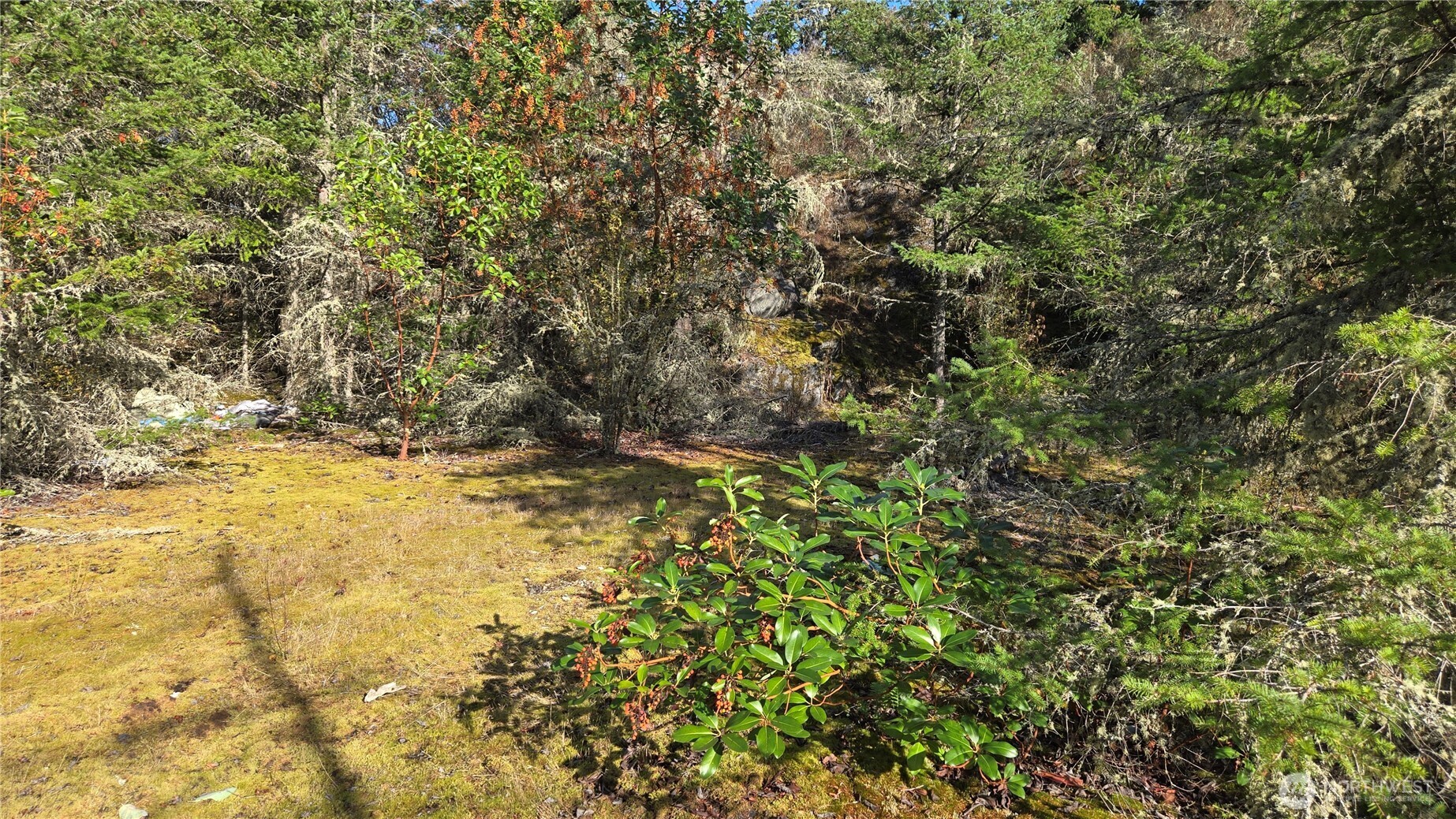 20 State Rte 20 Anacortes, WA 98221 - Photo 22 of 27