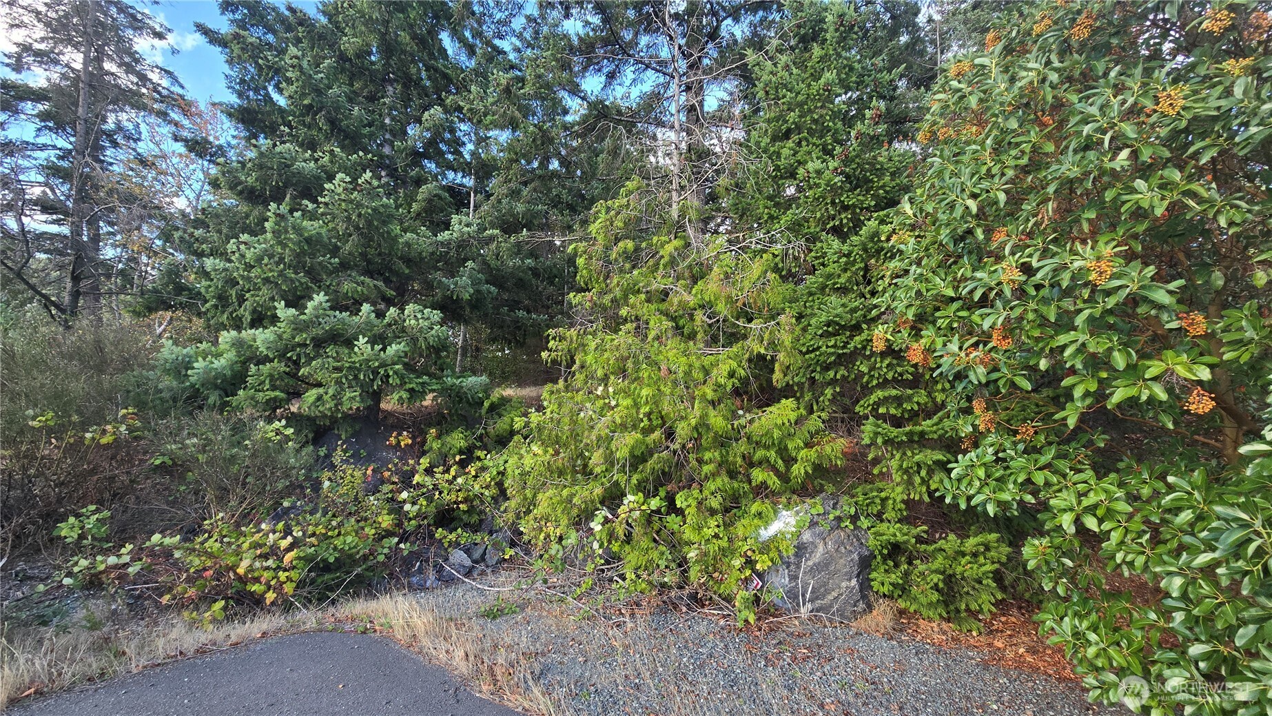 20 State Rte 20 Anacortes, WA 98221 - Photo 3 of 27