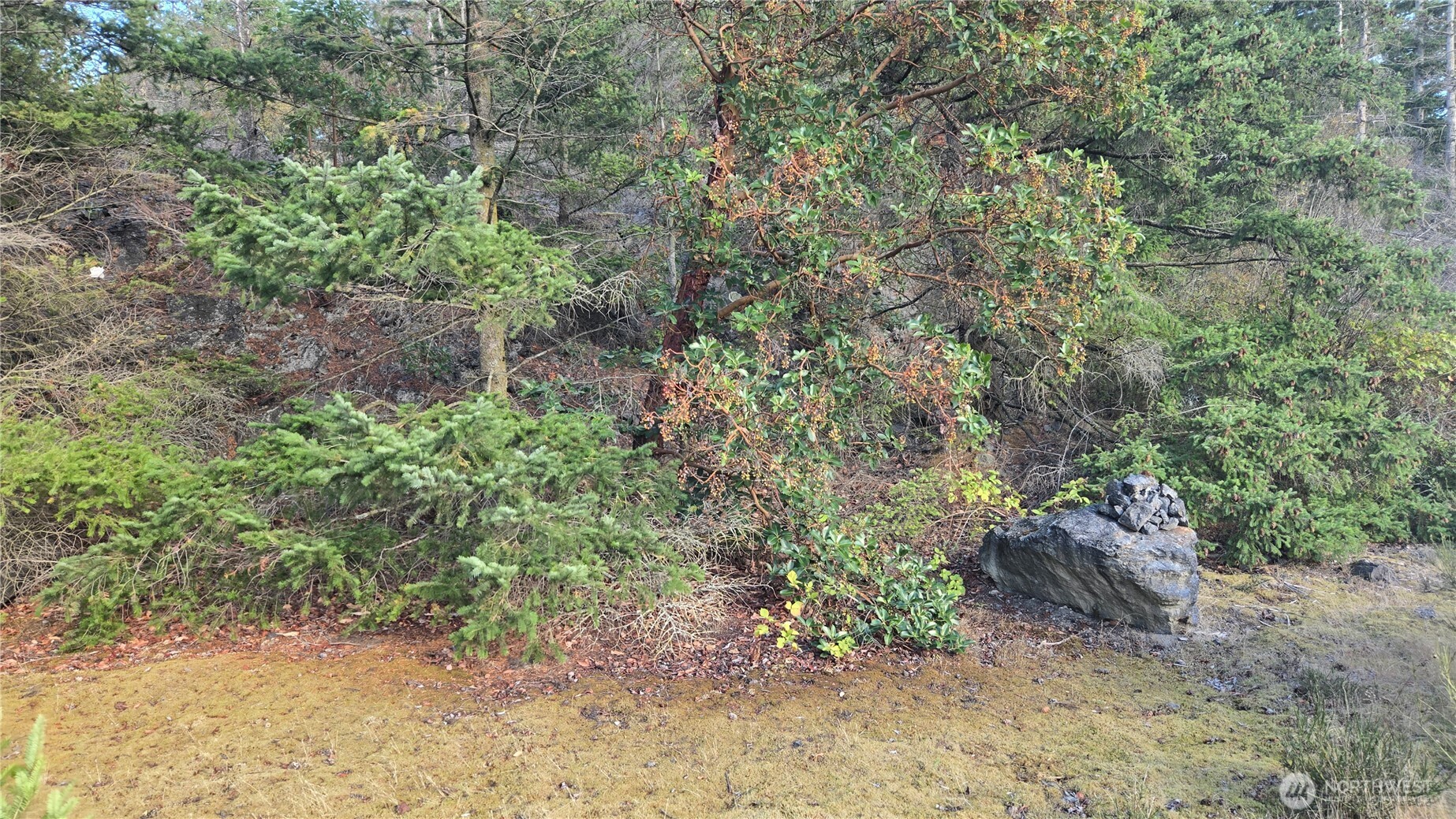 20 State Rte 20 Anacortes, WA 98221 - Photo 4 of 27