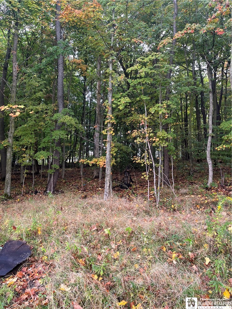 Wattlesburg Road East Ripley, NY 14775 - Photo 11 of 11 Gallery Image 11