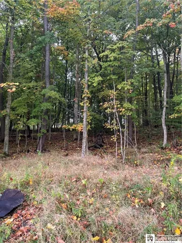 $99,500 | Wattlesburg Road East, Ripley, NY 14775