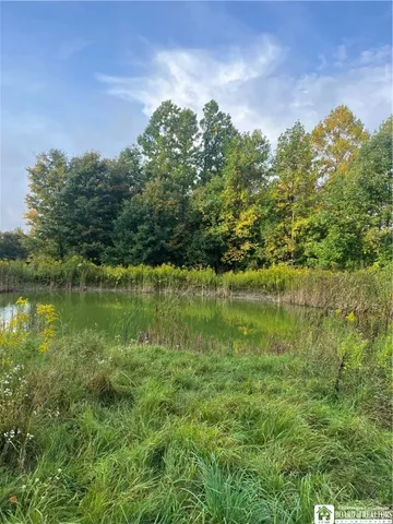 $99,500 | Wattlesburg Road East, Ripley, NY 14775