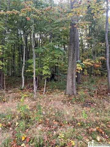 $99,500 | Wattlesburg Road East, Ripley, NY 14775