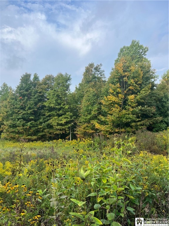 Wattlesburg Road East Ripley, NY 14775 - Photo 4 of 11