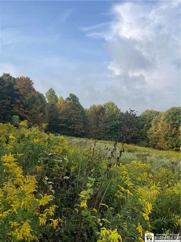$99,500 | Wattlesburg Road East, Ripley, NY 14775