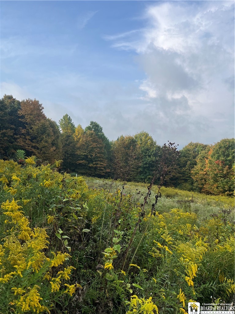 Wattlesburg Road East Ripley, NY 14775 - Photo 5 of 11 Gallery Image 5