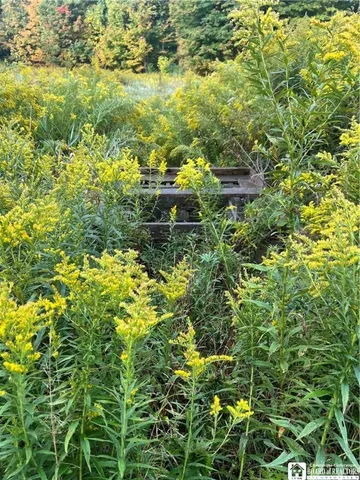 $99,500 | Wattlesburg Road East, Ripley, NY 14775