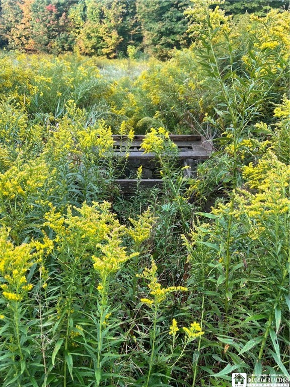 Wattlesburg Road East Ripley, NY 14775 - Photo 6 of 11