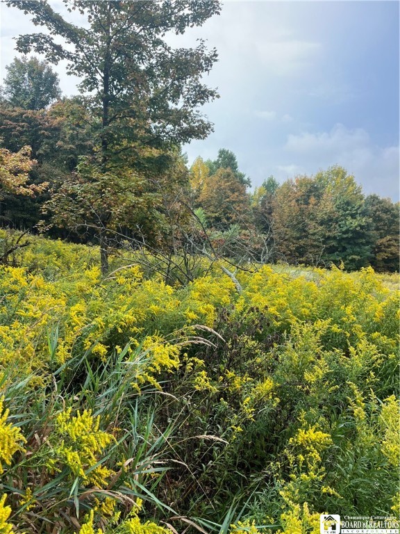 Wattlesburg Road East Ripley, NY 14775 - Photo 7 of 11