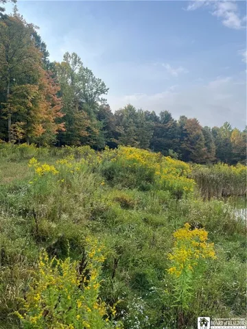 $99,500 | Wattlesburg Road East, Ripley, NY 14775