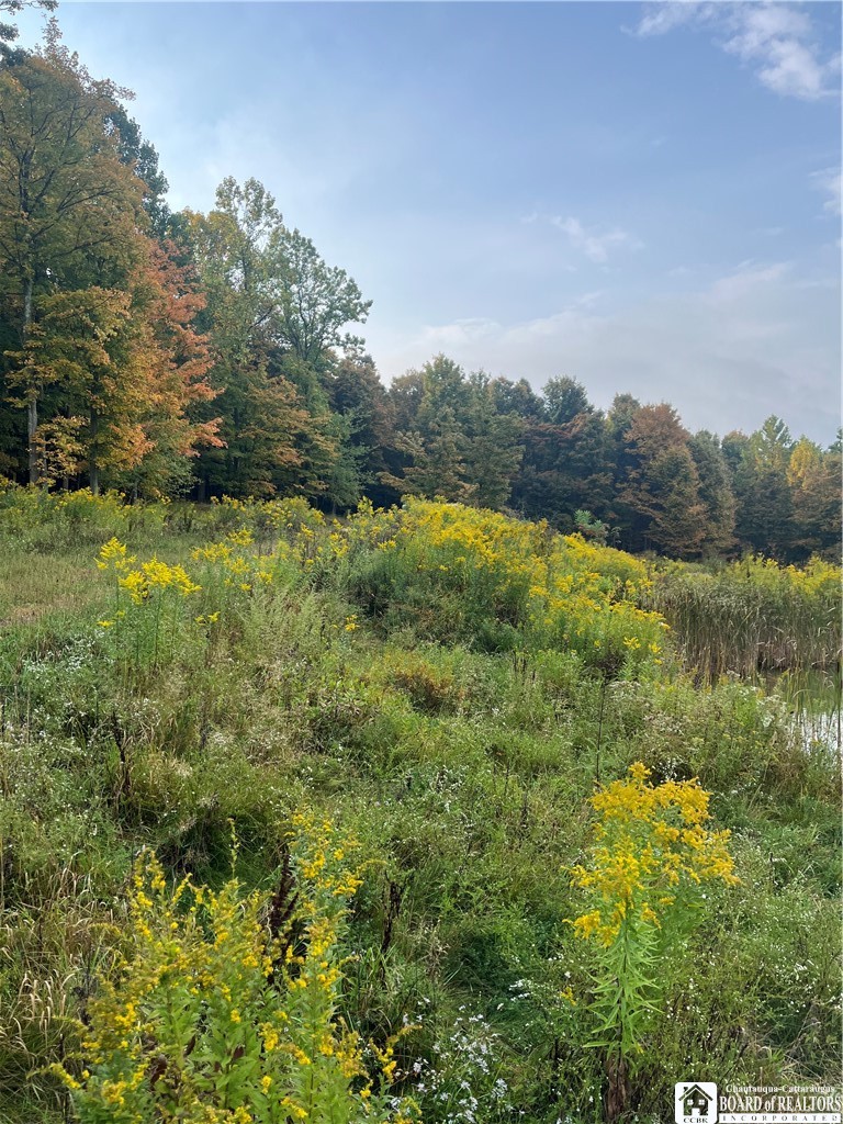 Wattlesburg Road East Ripley, NY 14775 - Photo 9 of 11 Gallery Image 9