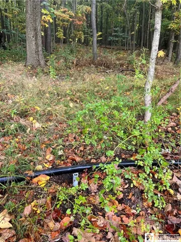 $99,500 | Wattlesburg Road East, Ripley, NY 14775