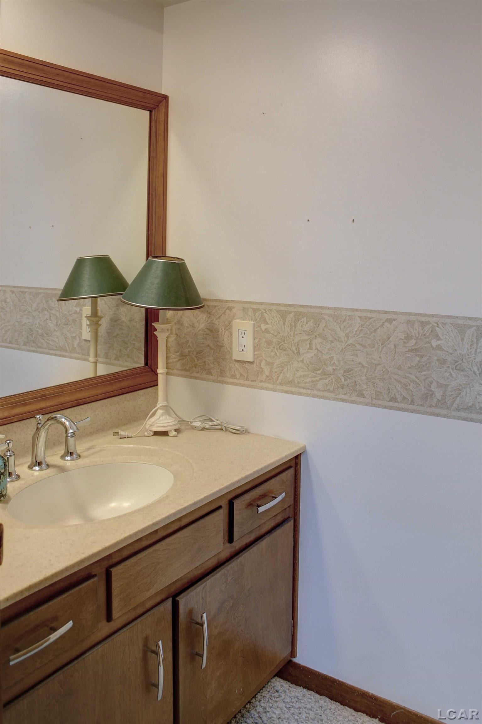 811 Blood Road Tecumseh, MI 49286 - Photo 27 of 43