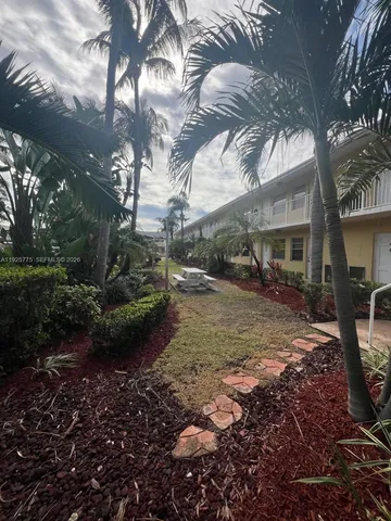 a view of a backyard with large trees