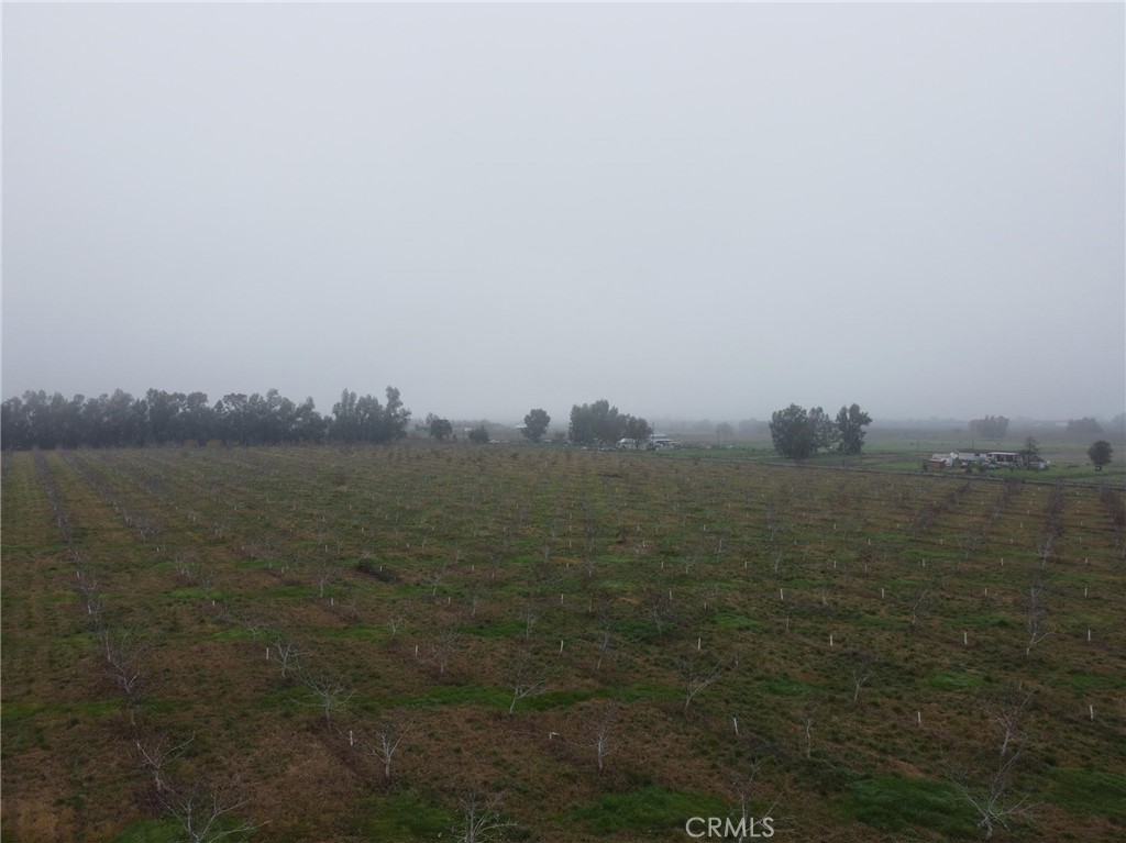 0 Richfield Road Corning, CA 96021 - Photo 9 of 33 Gallery Image 9